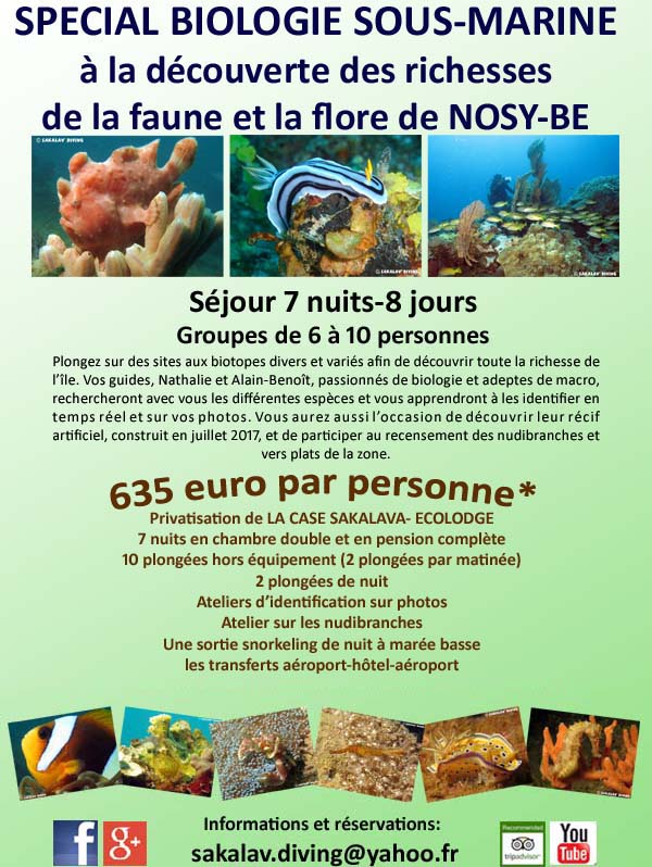 offre spéciale plongée biologie Nosy Be Madagascar